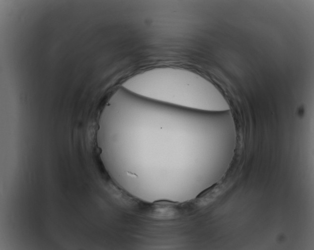 X0000102470376200808081015