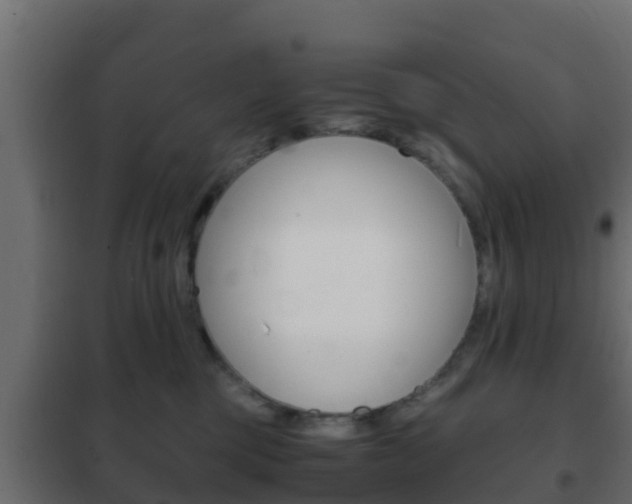 X0000102470377200808081015
