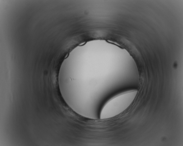 X0000102470380200808081015