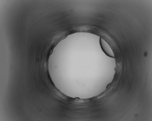 X0000102470381200808081015