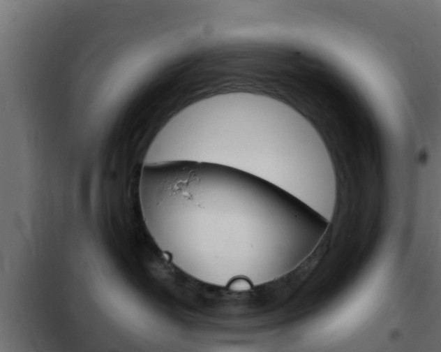 X0000102470382200808081015