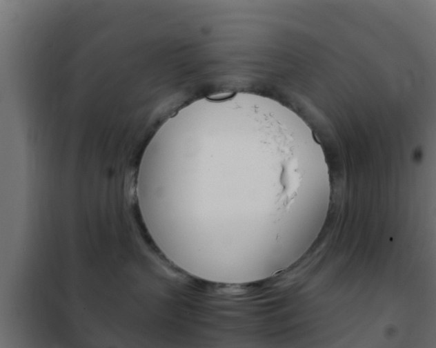 X0000102470383200808081015