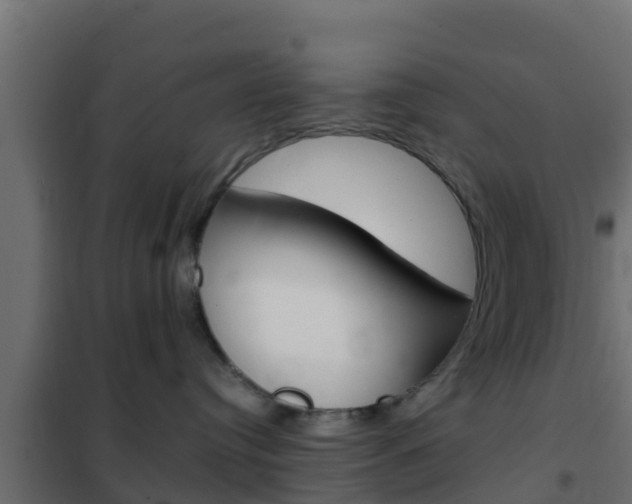 X0000102470384200808081015