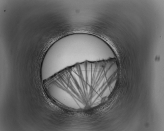X0000102470385200808081014