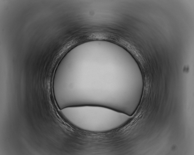 X0000102470386200808081014