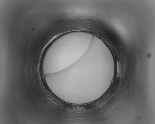 X0000102470387200808081014