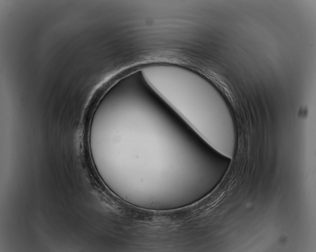 X0000102470388200808081014