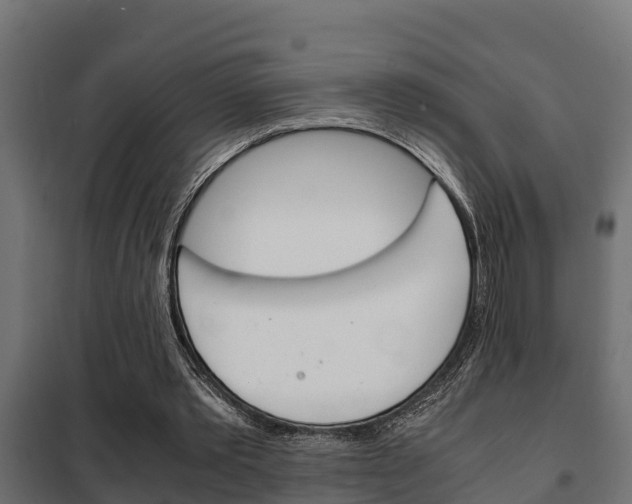 X0000102470389200808081014