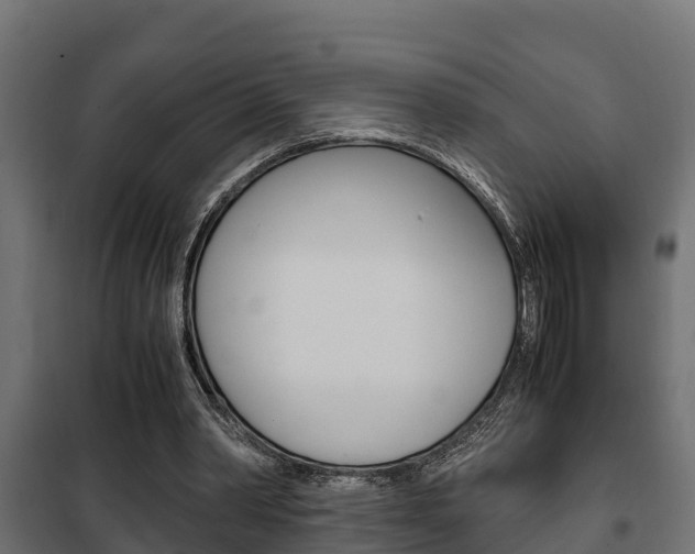 X0000102470390200808081014