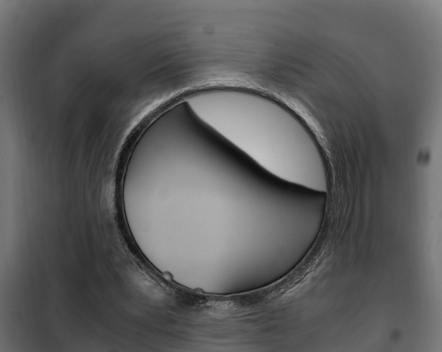 X0000102470391200808081014