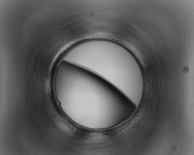 X0000102470392200808081014