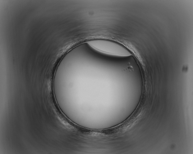 X0000102470393200808081014