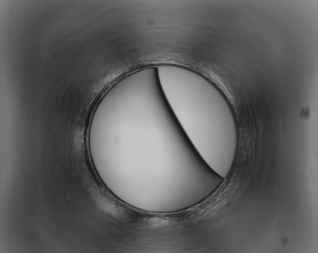 X0000102470394200808081014