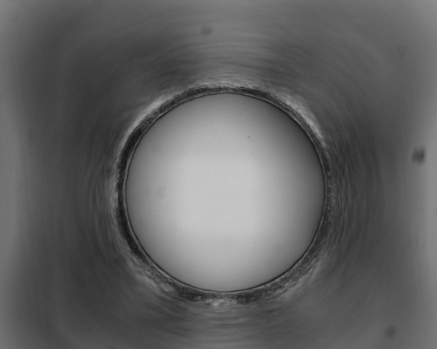 X0000102470395200808081014