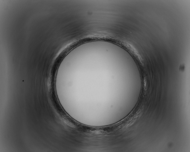 X0000102470396200808081014