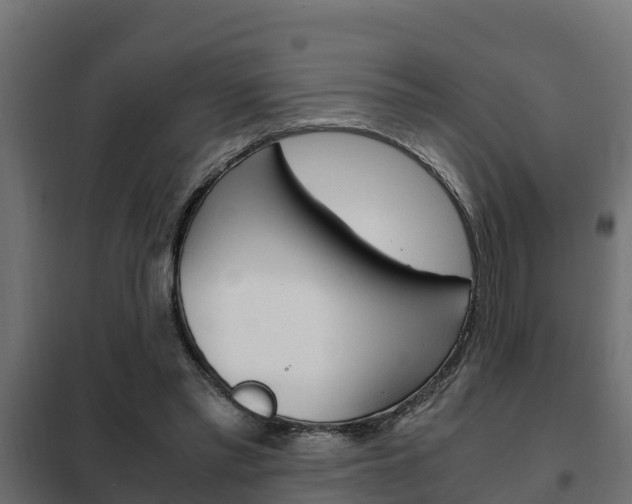 X0000102470397200808081014