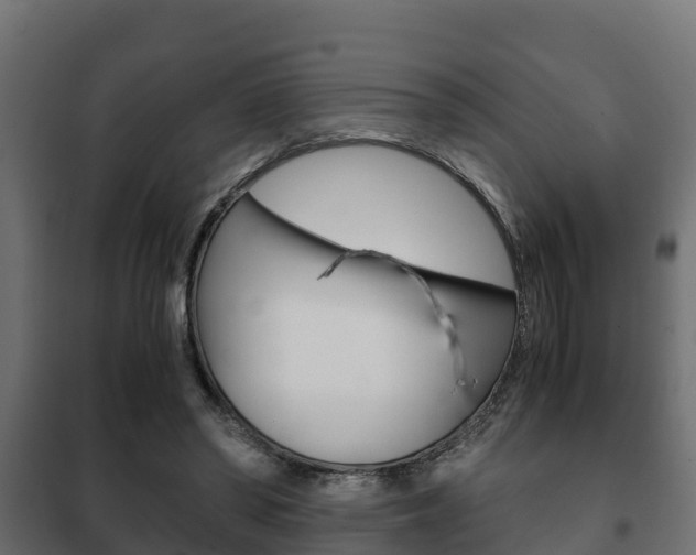 X0000102470398200808081014