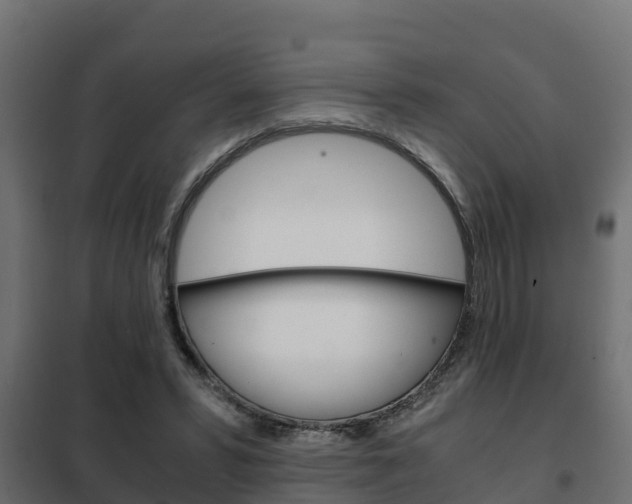 X0000102470399200808081014