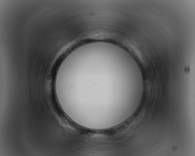 X0000102470400200808081014