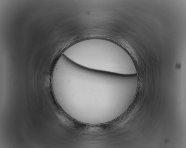 X0000102470401200808081014