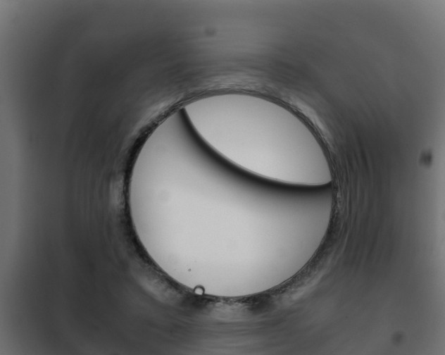 X0000102470403200808081014