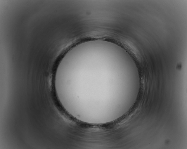 X0000102470404200808081014
