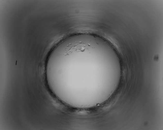 X0000102470407200808081014