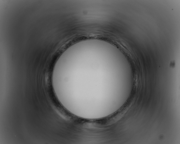 X0000102470408200808081014