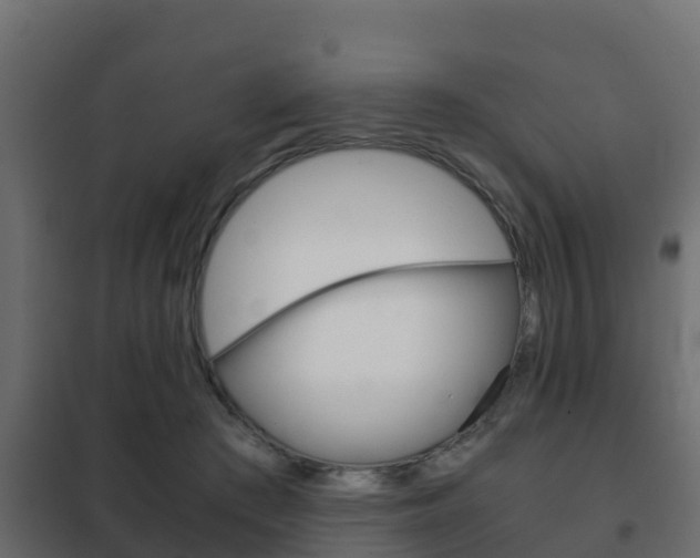 X0000102470409200808081014