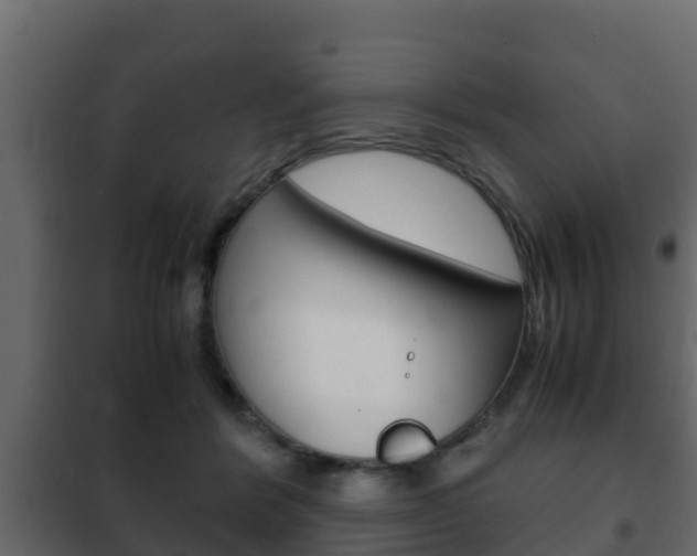 X0000102470412200808081014