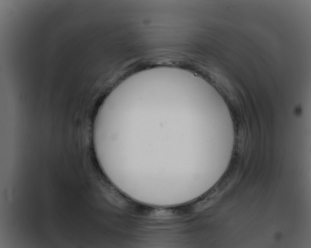 X0000102470413200808081014
