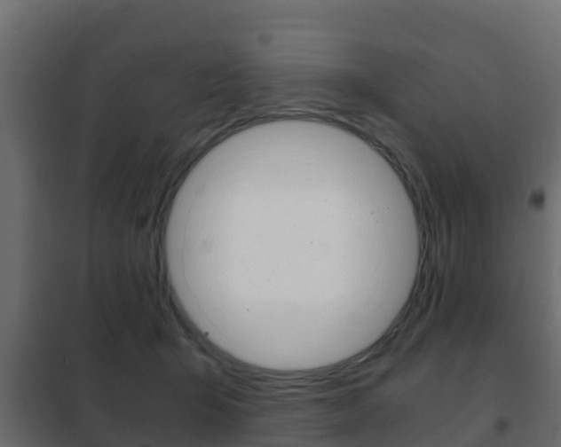 X0000102470415200808081014