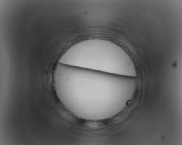 X0000102470417200808081014