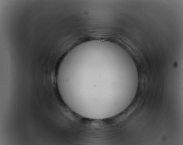 X0000102470420200808081014