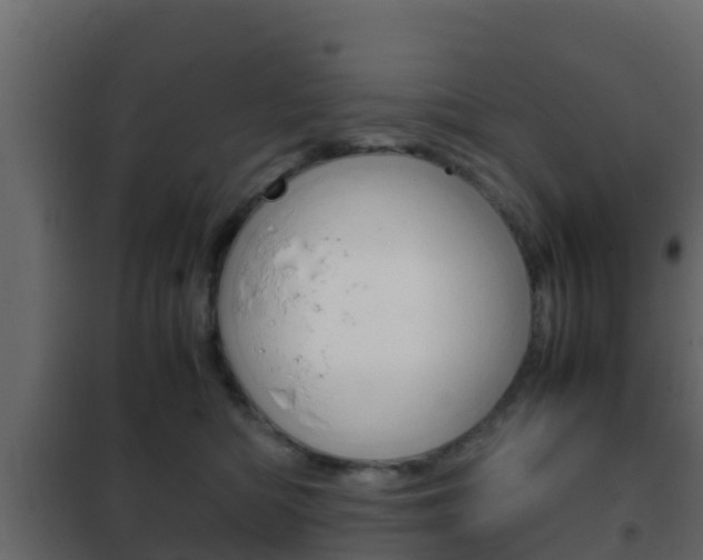X0000102470422200808081014