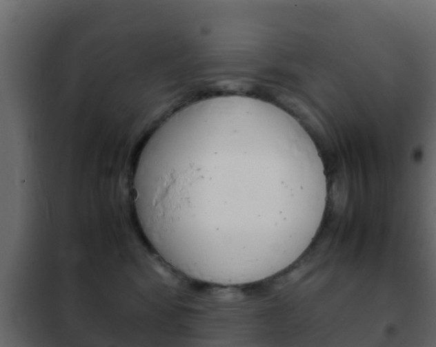 X0000102470424200808081014
