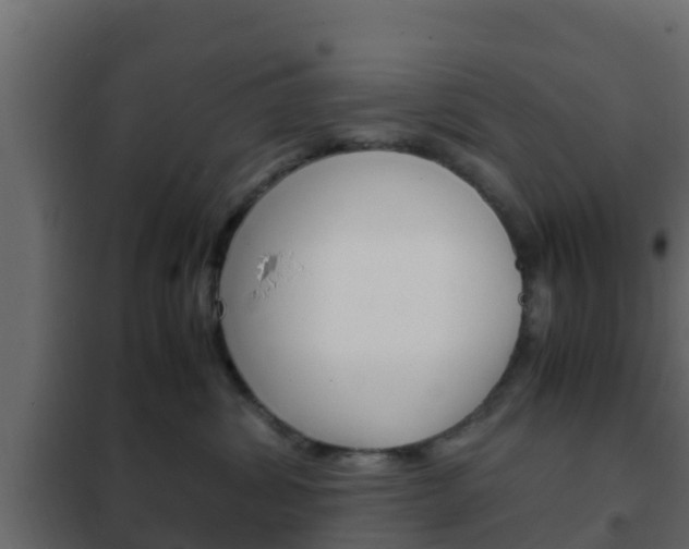X0000102470428200808081014
