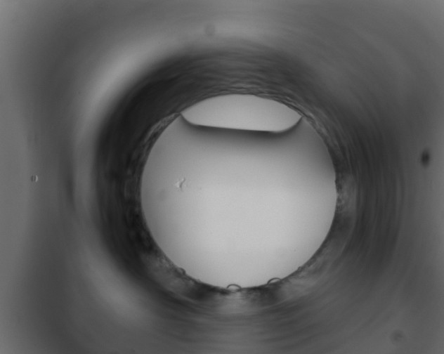 X0000102470430200808081014