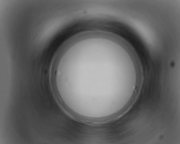 X0000102470431200808081014