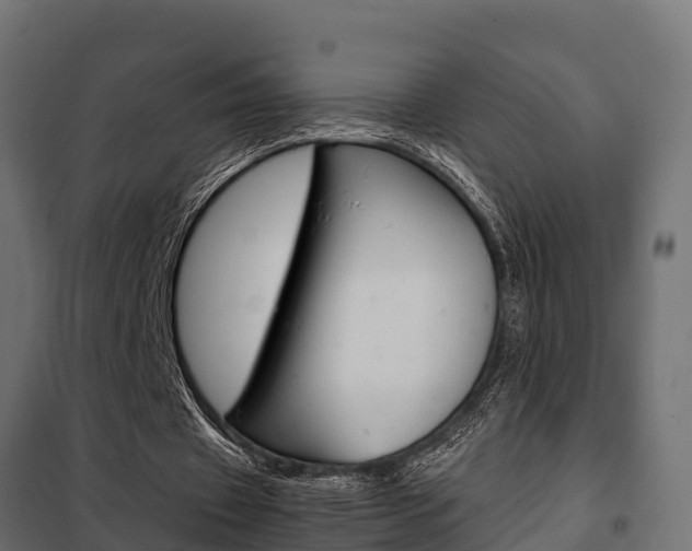 X0000102470433200808081013