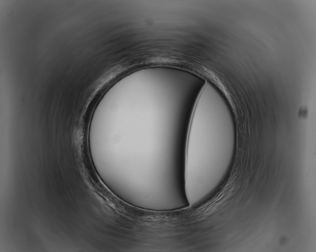 X0000102470435200808081013