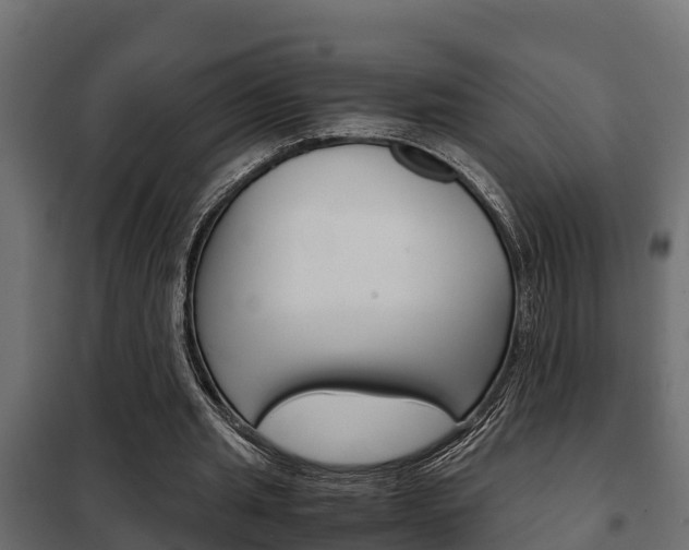 X0000102470437200808081013
