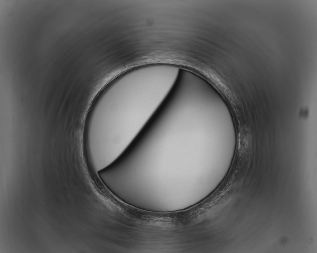 X0000102470438200808081013