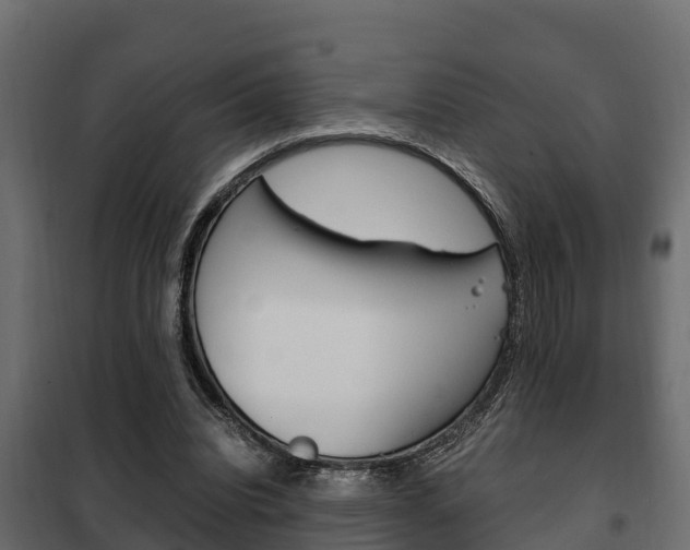 X0000102470440200808081013