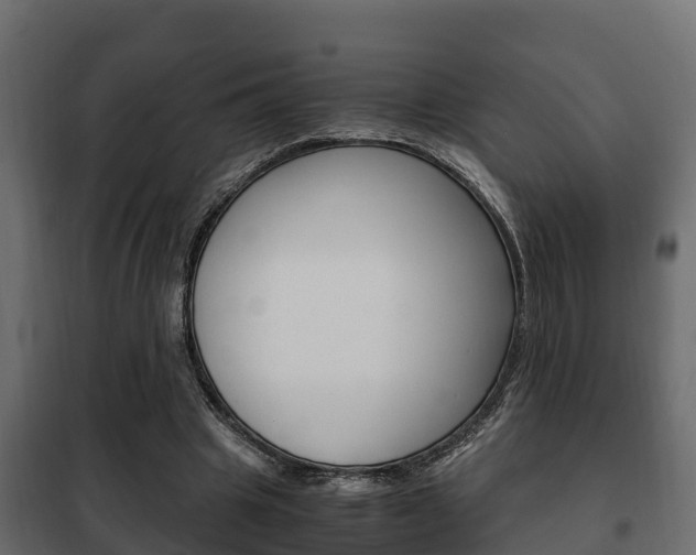 X0000102470441200808081013