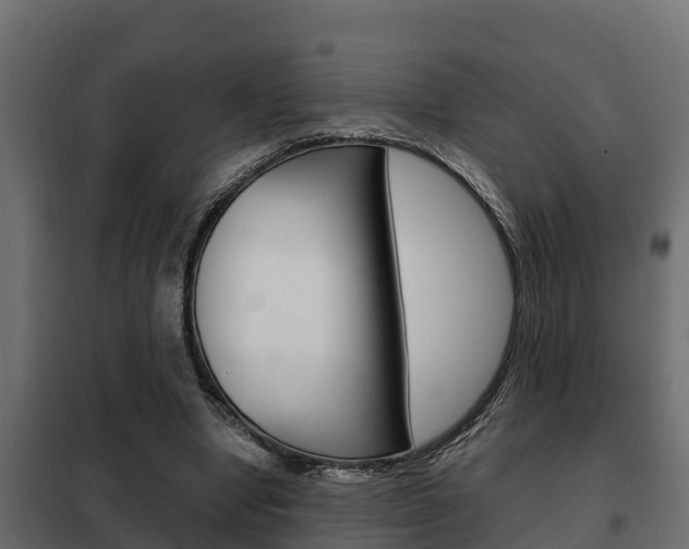 X0000102470442200808081013