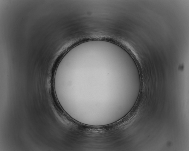 X0000102470443200808081013