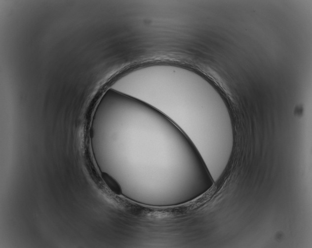 X0000102470444200808081013
