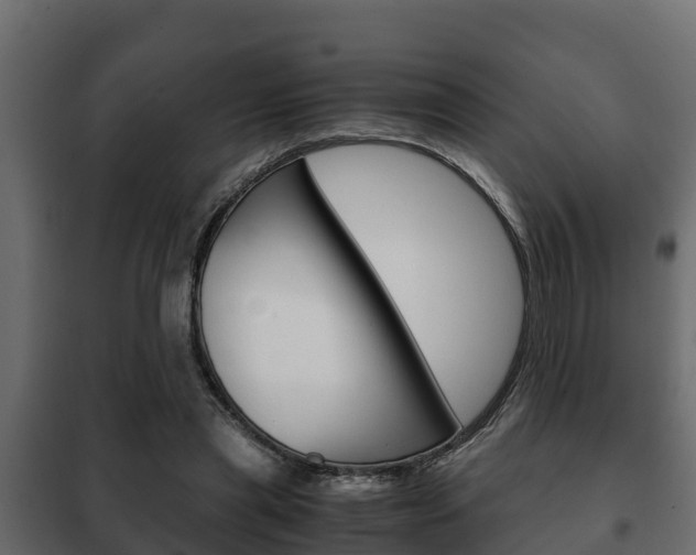 X0000102470445200808081013