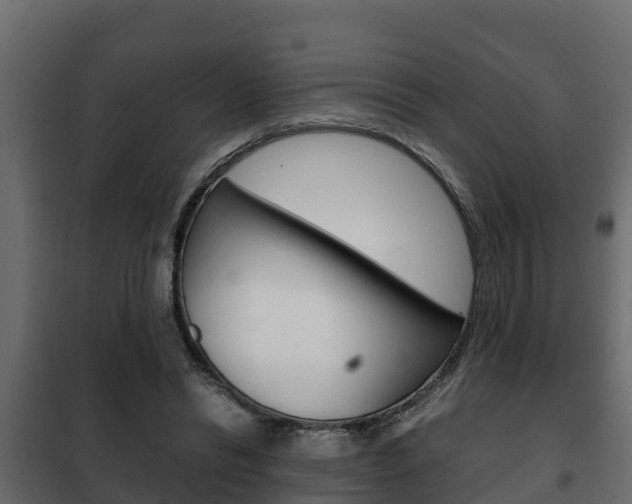 X0000102470446200808081013